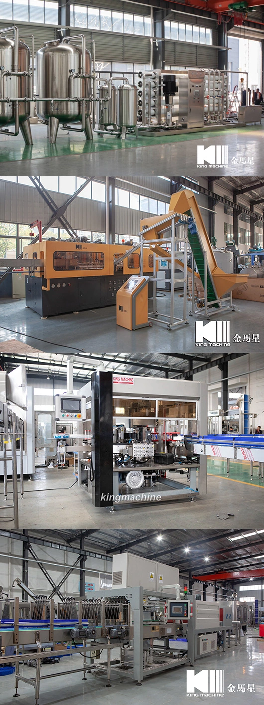 King Machine Brand Professional Juice Preparing and Sterilizing System and Filling Machine